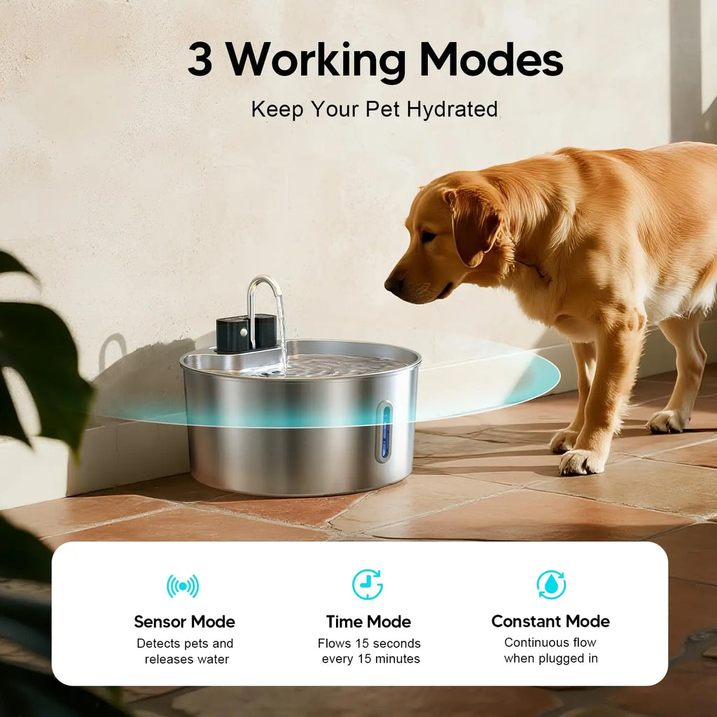 Automatic Pet Water Fountain — Fresh, Clean Water for Happier Pets